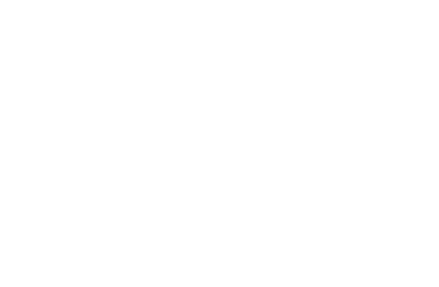 ONE ROD ONE LINE ONE HOOK