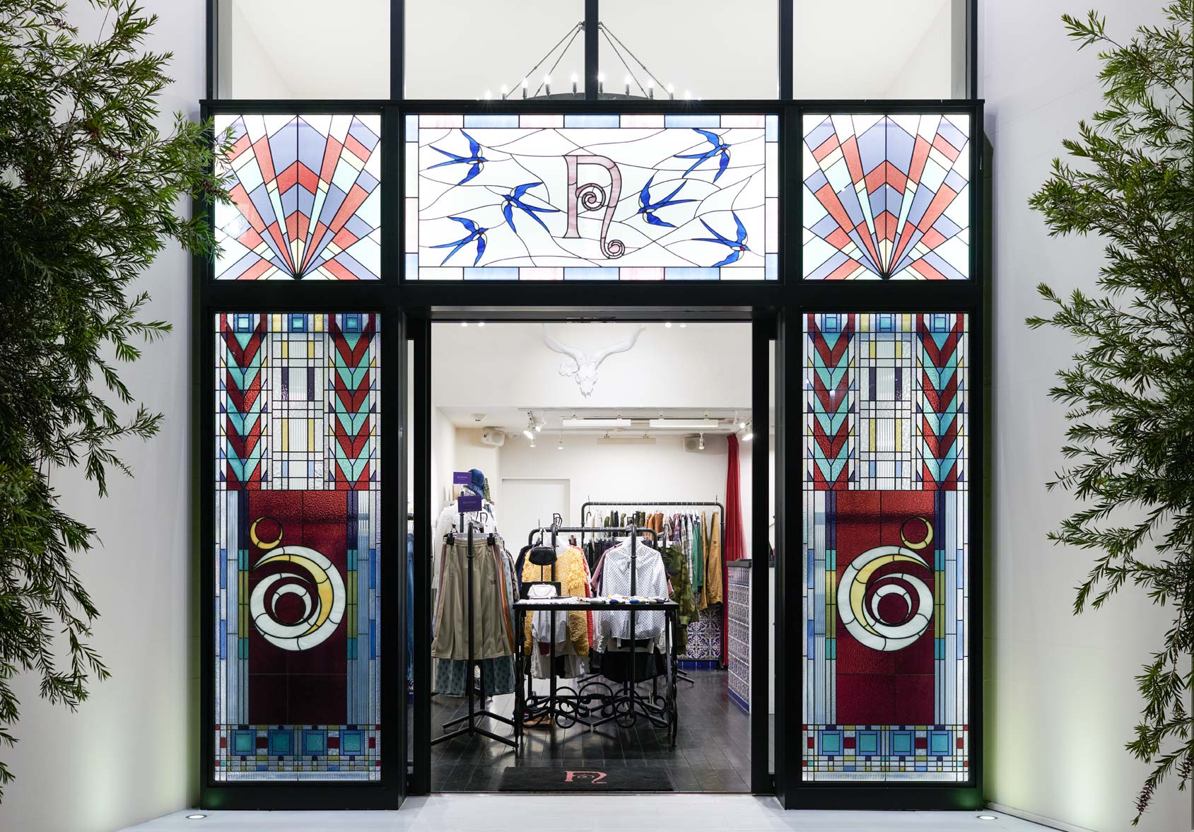 nepenthes woman osaka