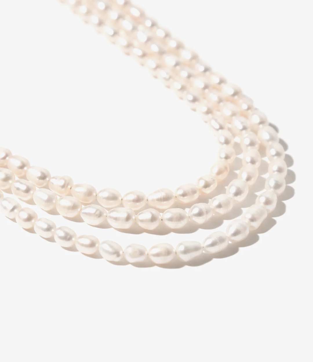 NEPENTHES HOLIDAY GIFT SELECTION 2025