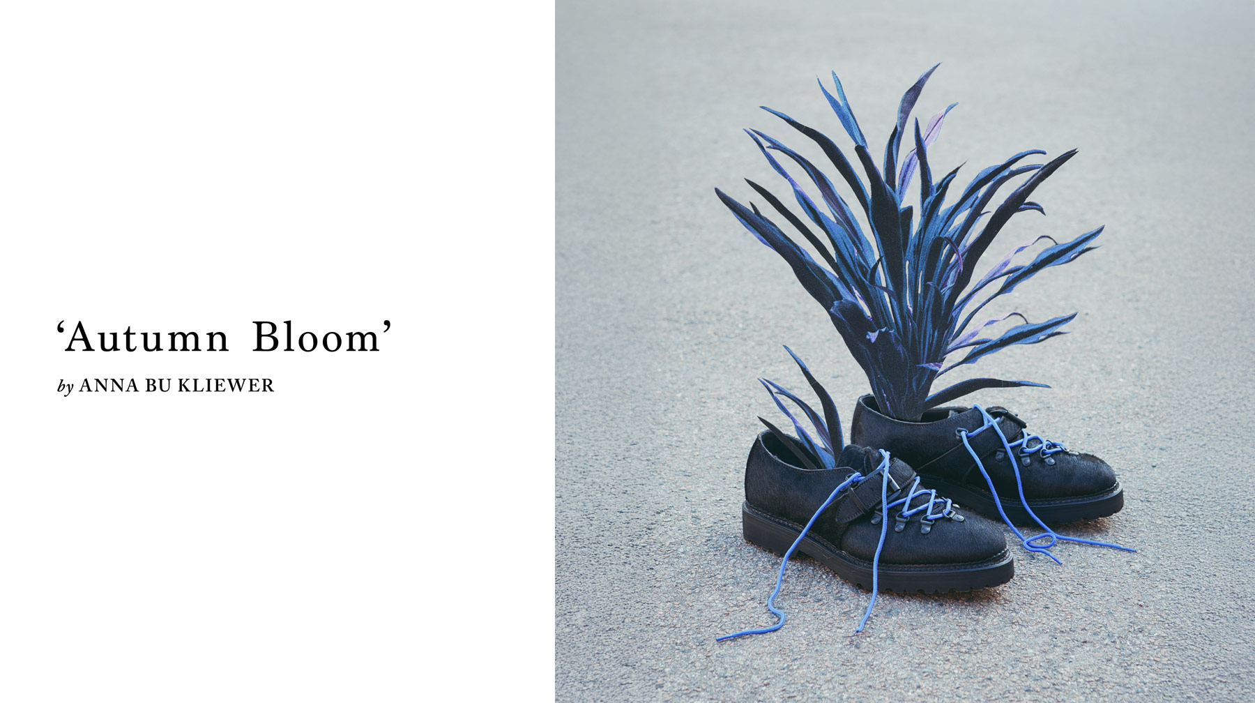 Autumn Bloom by Anna Bu Kliewer