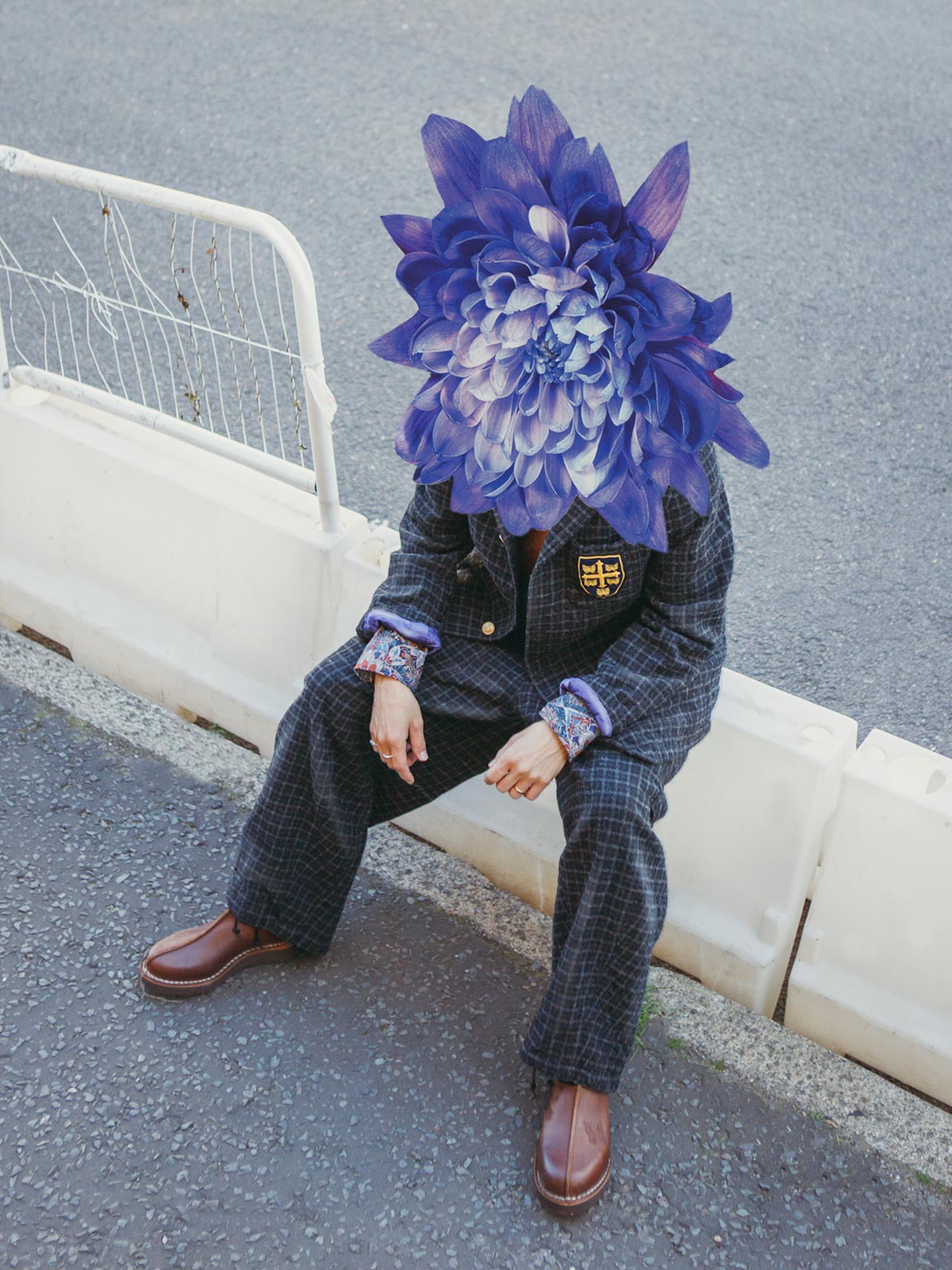 Autumn Bloom by Anna Bu Kliewer