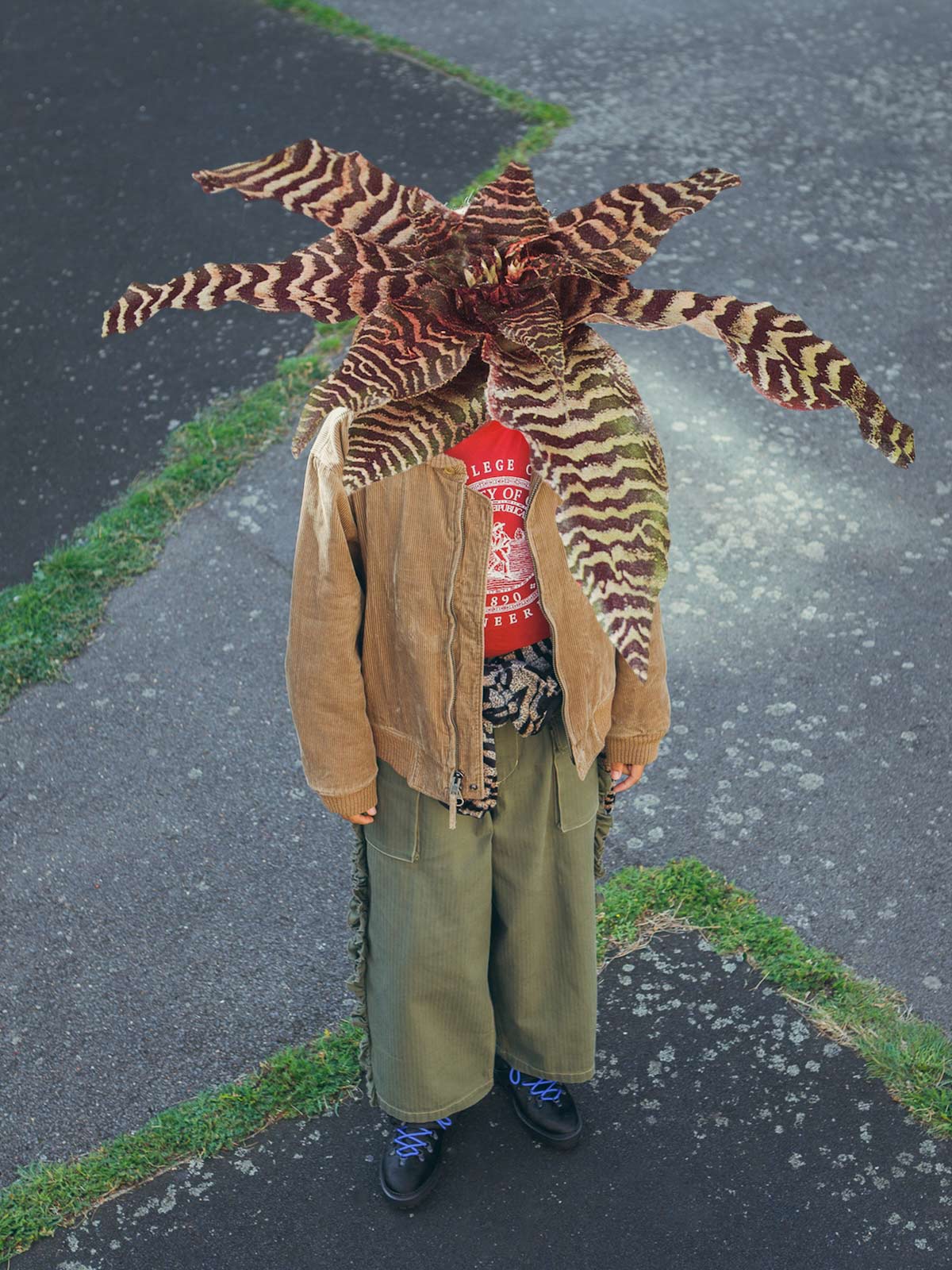 Autumn Bloom by Anna Bu Kliewer