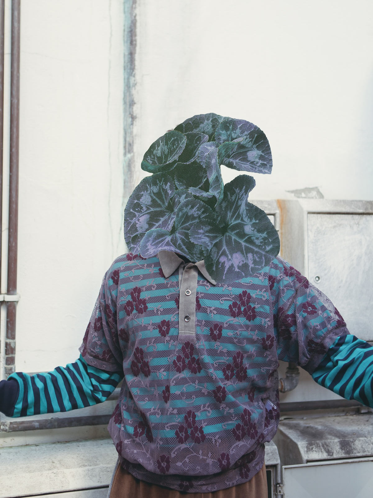 Autumn Bloom by Anna Bu Kliewer