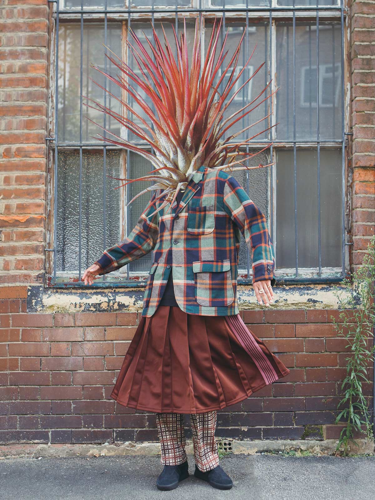 Autumn Bloom by Anna Bu Kliewer