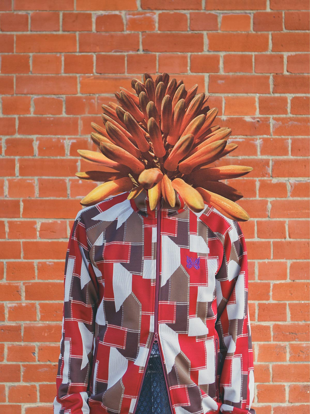 Autumn Bloom by Anna Bu Kliewer