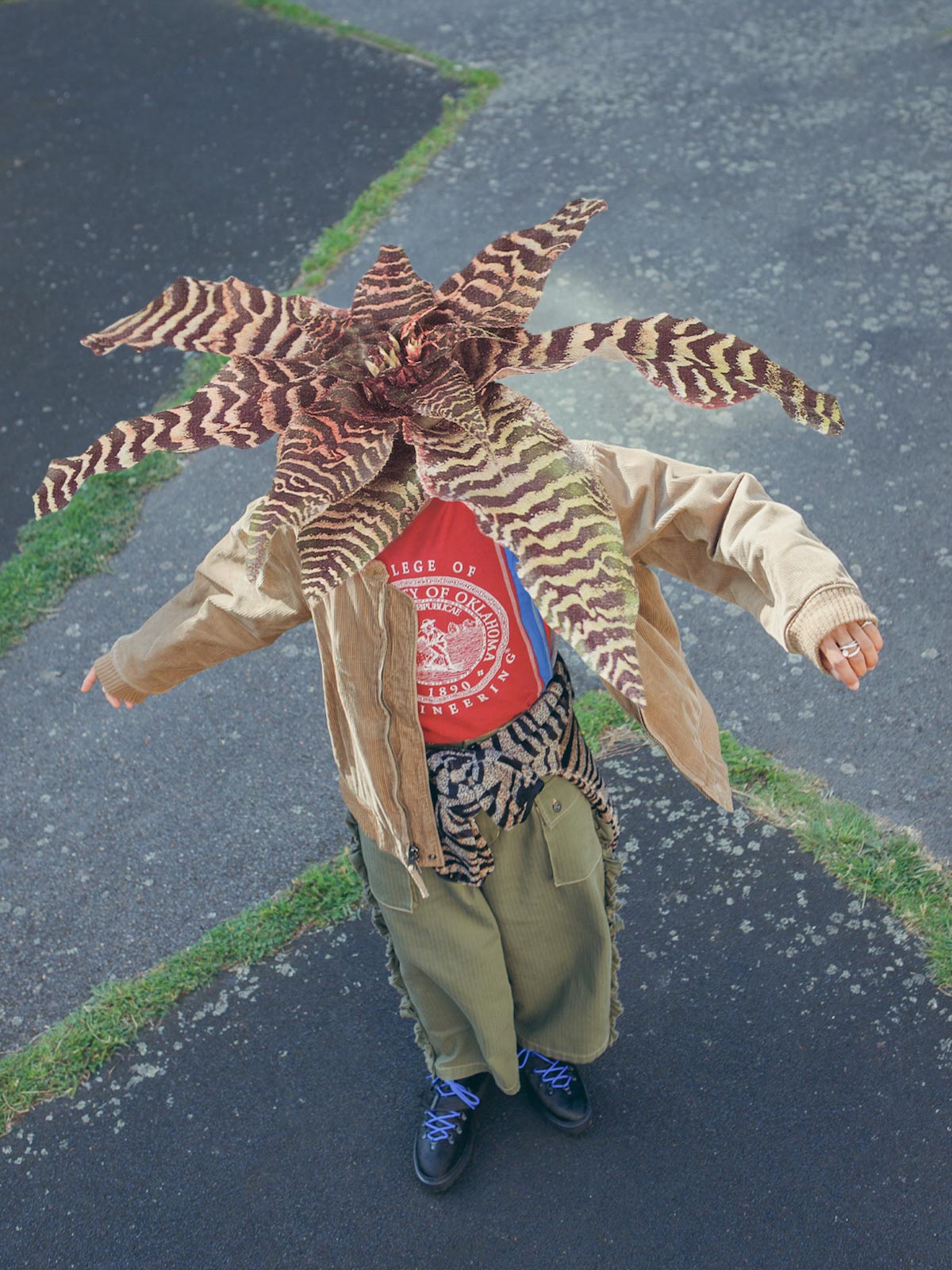 Autumn Bloom by Anna Bu Kliewer