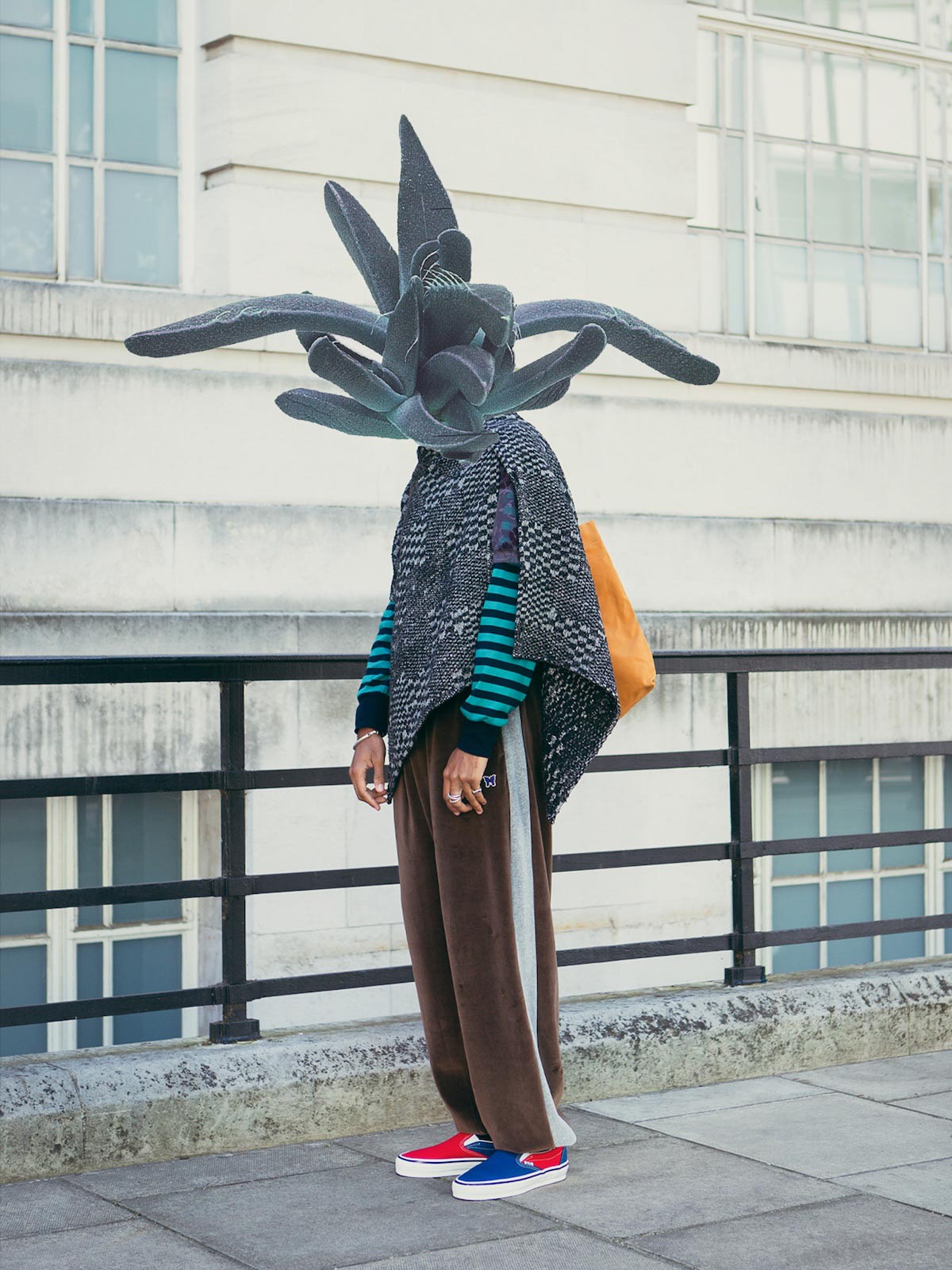 Autumn Bloom by Anna Bu Kliewer