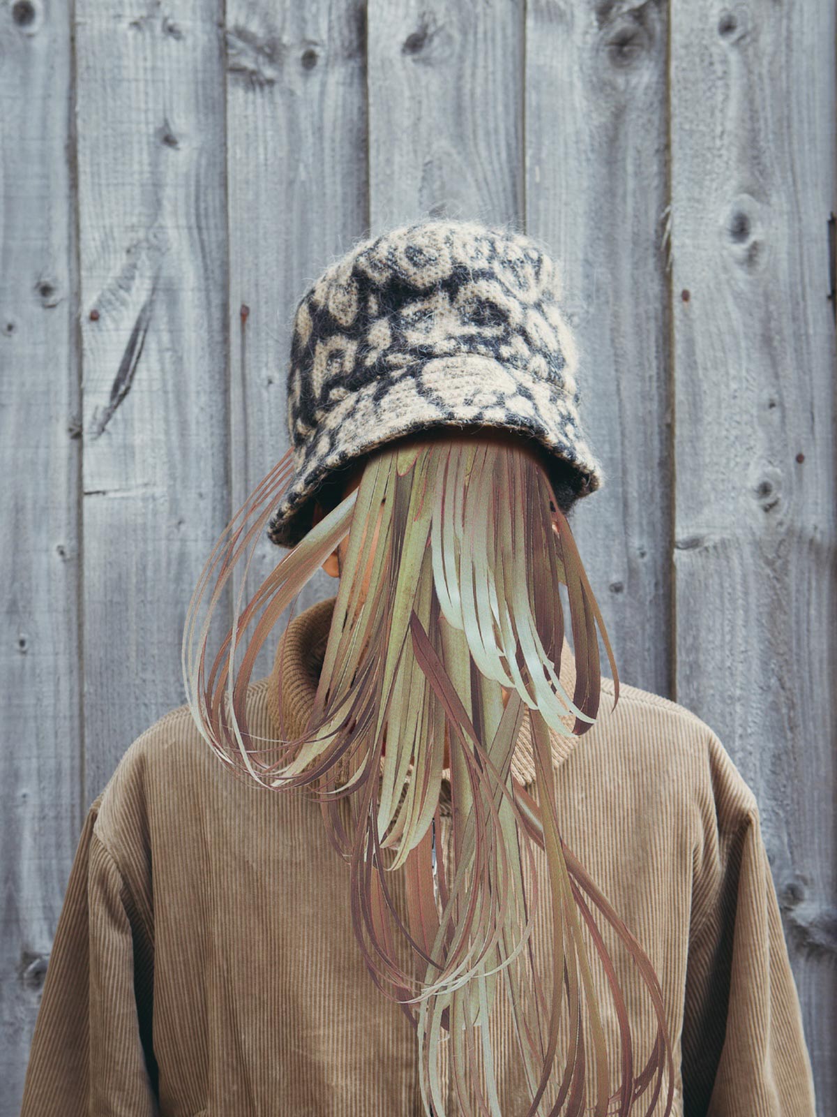 Autumn Bloom by Anna Bu Kliewer