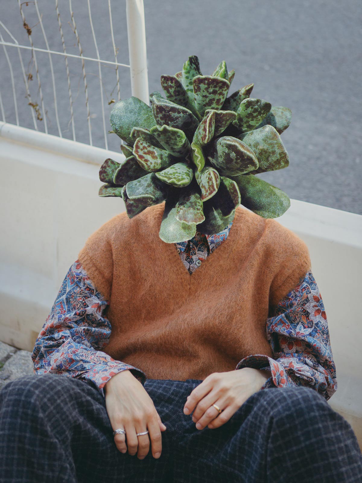 Autumn Bloom by Anna Bu Kliewer