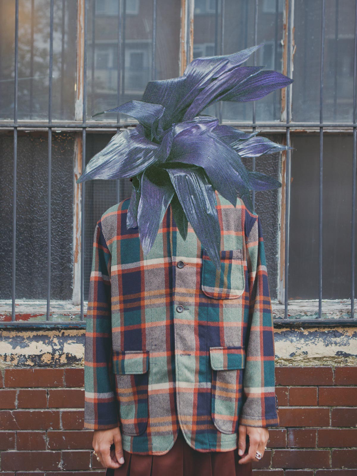 Autumn Bloom by Anna Bu Kliewer