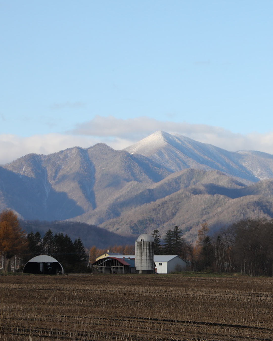 コンプリーテッド ／ ノット・コンプリーテッド