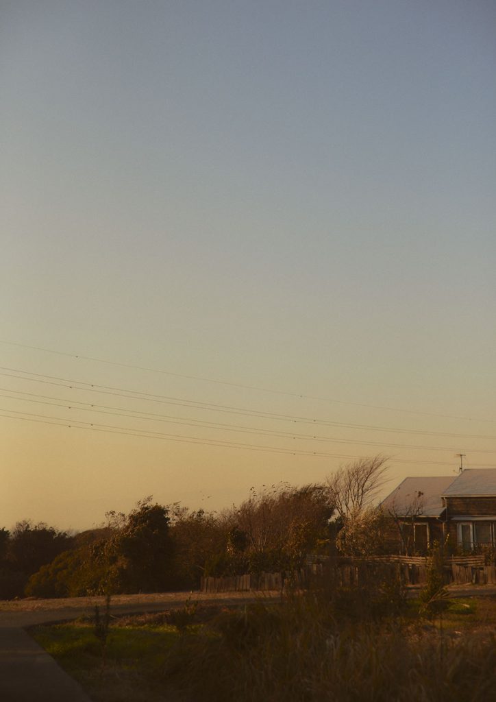 Needles Fall Winter 2024