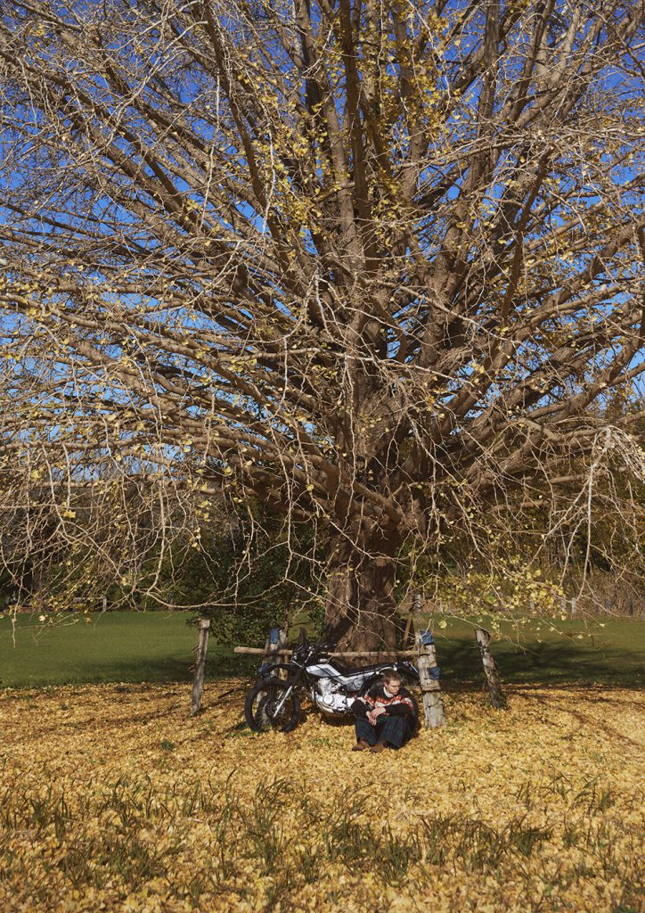 Needles Fall Winter 2024