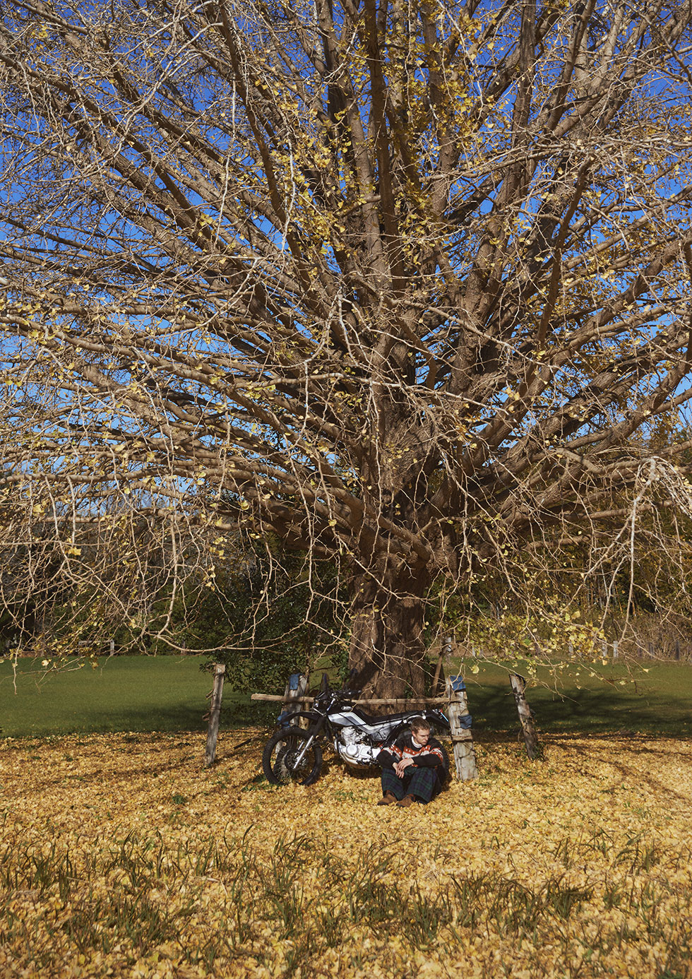 Needles Fall Winter 2024