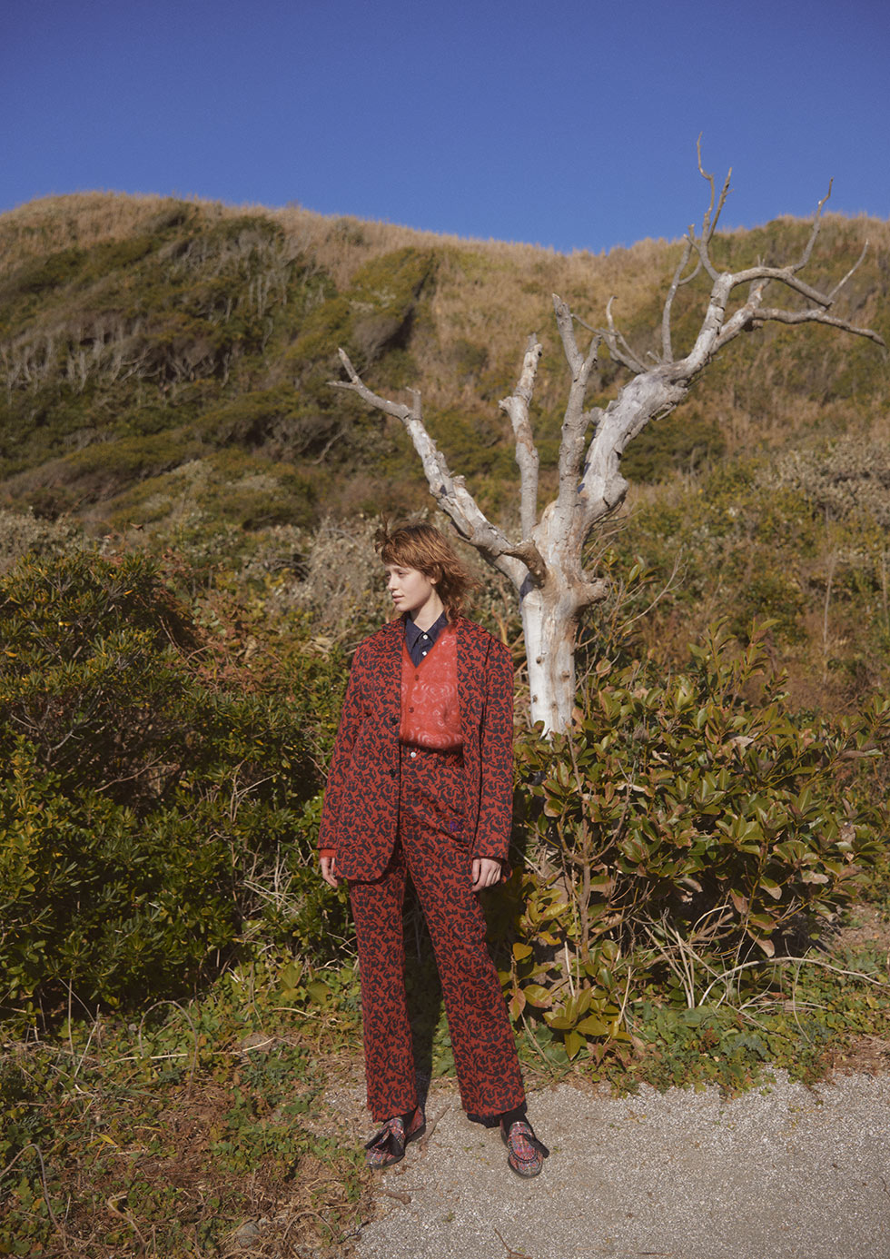 Needles Fall Winter 2024