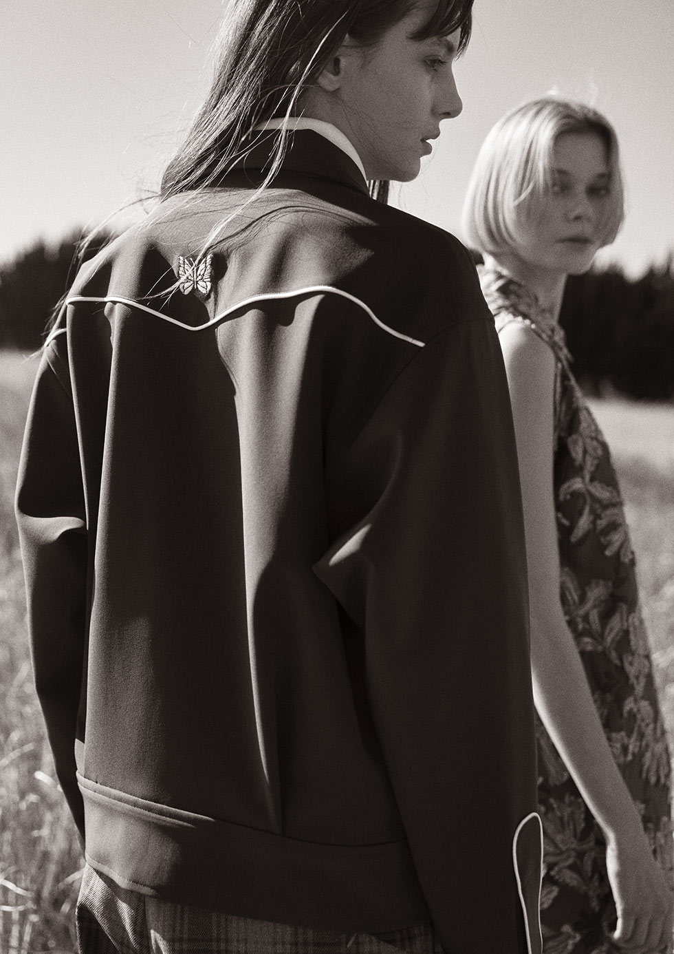 Needles Fall Winter 2024