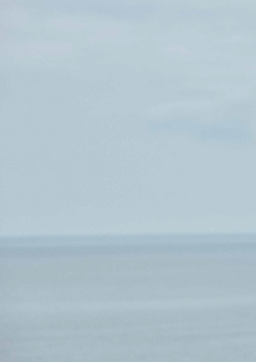 Needles Spring Summer 2026