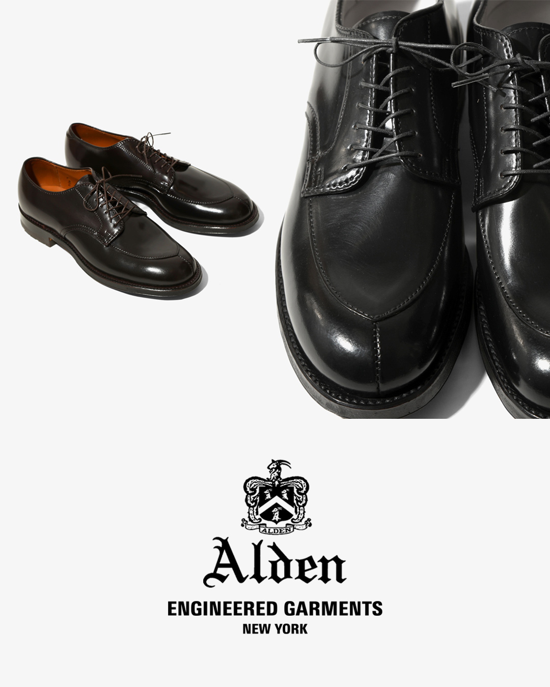 〈EG〉×〈ALDEN〉1月15日（木）限定発売「Algonquin ox V-Tip」