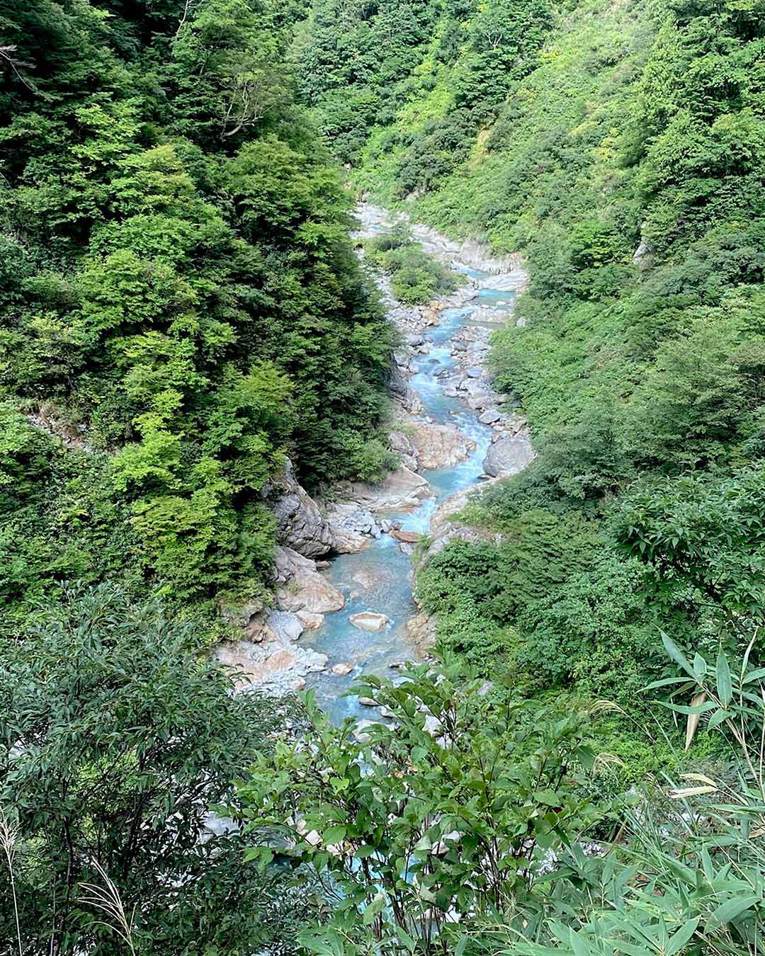 おはぎ、博多、ちゃんぽん、温泉