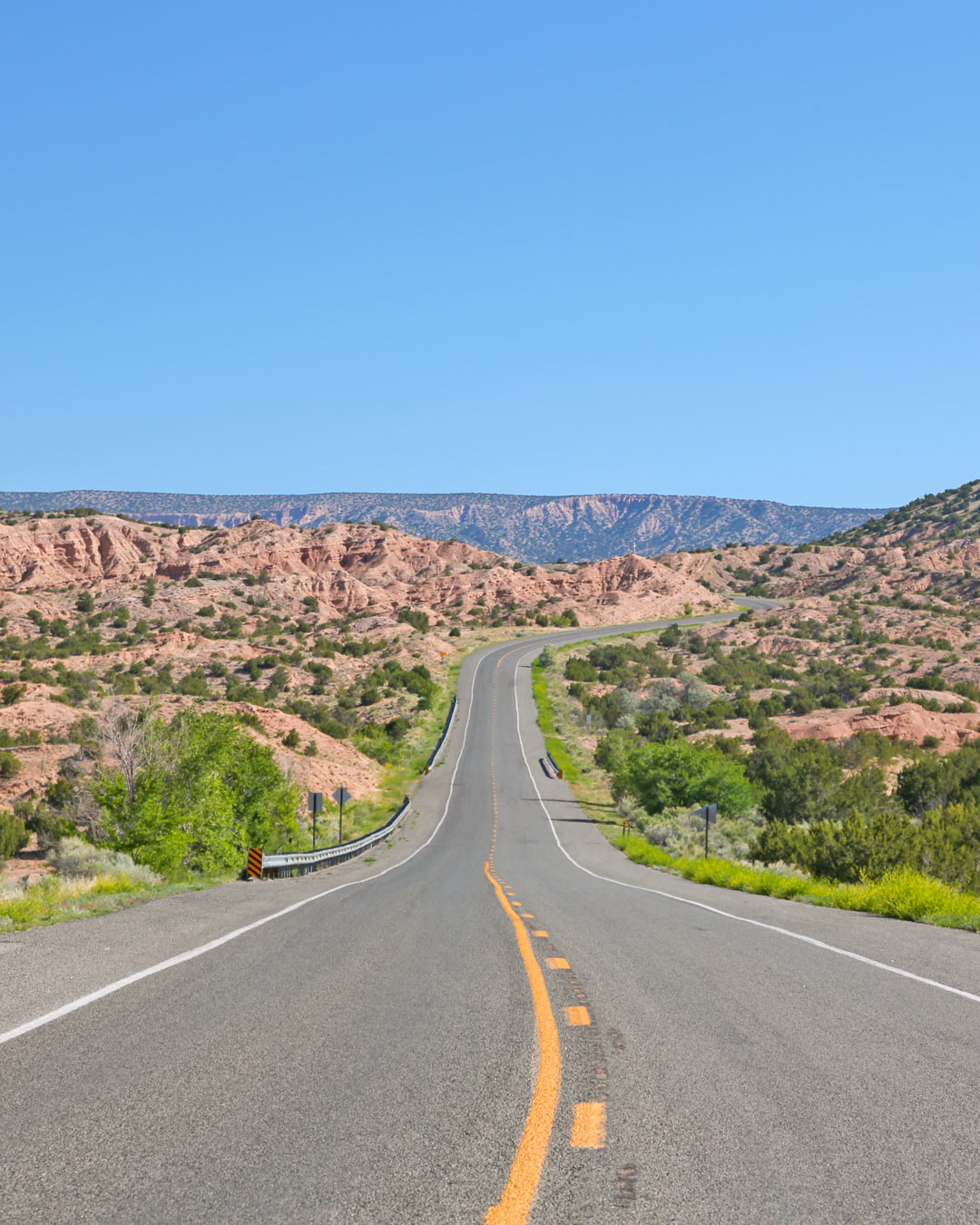 「ニューメキシコ」