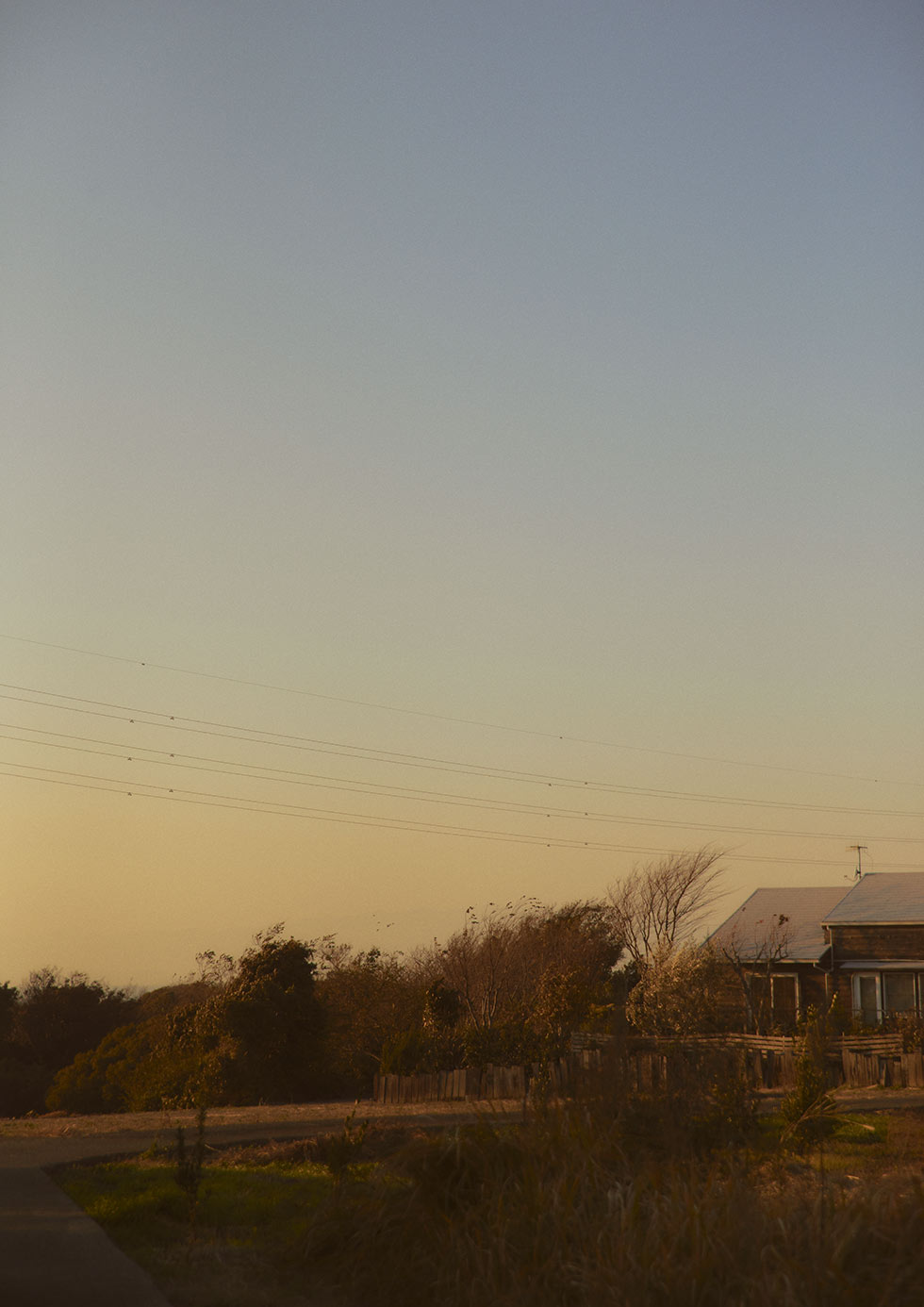 Needles Fall Winter 2024