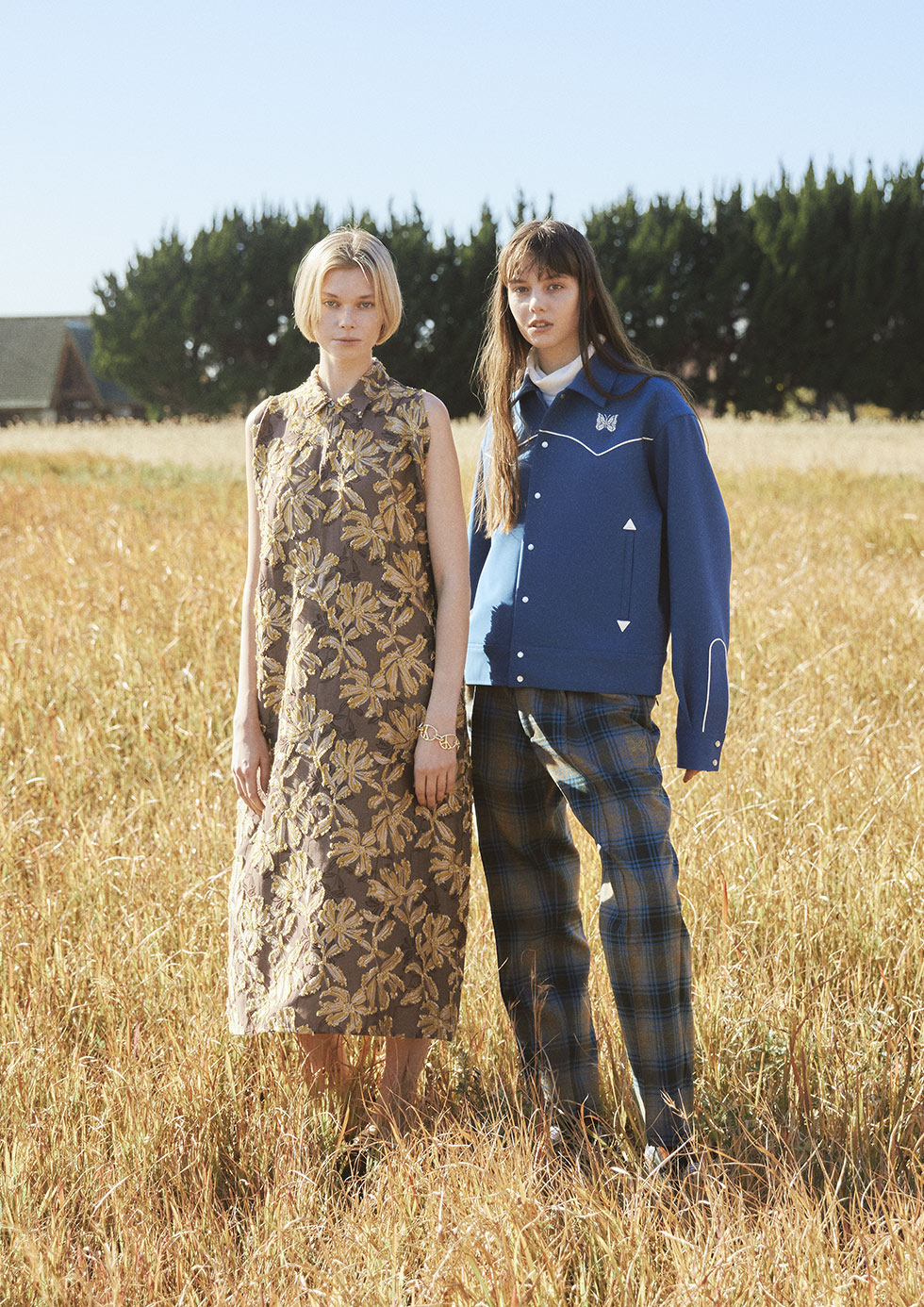 Needles Fall Winter 2024