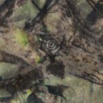 TRAINER C.S. PANT – FLEECE ¥44,000