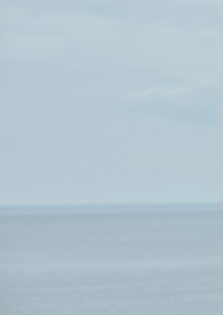 Needles Spring Summer 2026