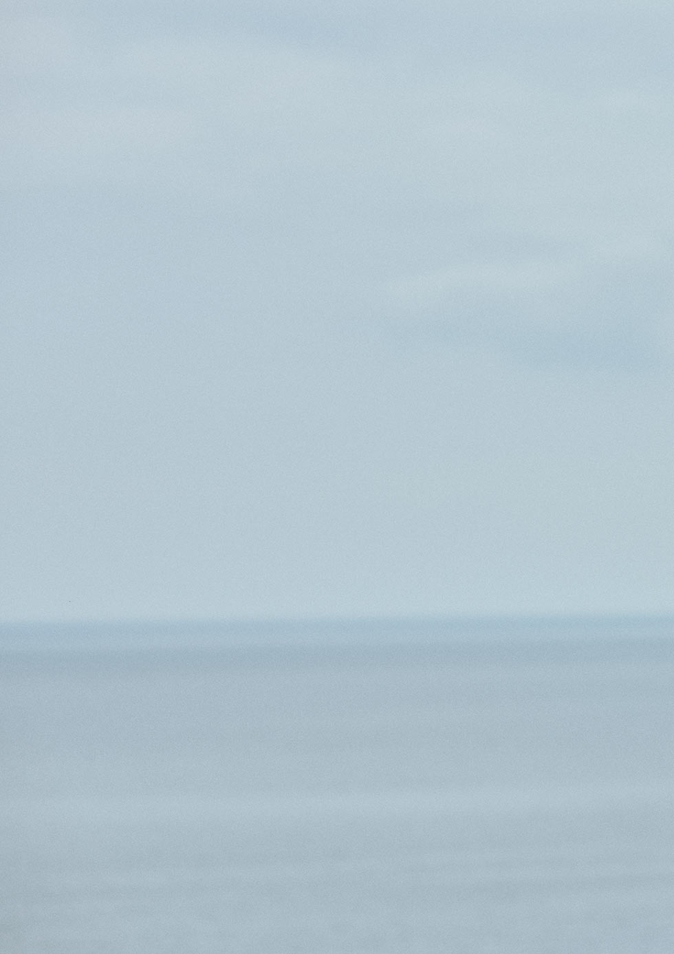 Needles Spring Summer 2026