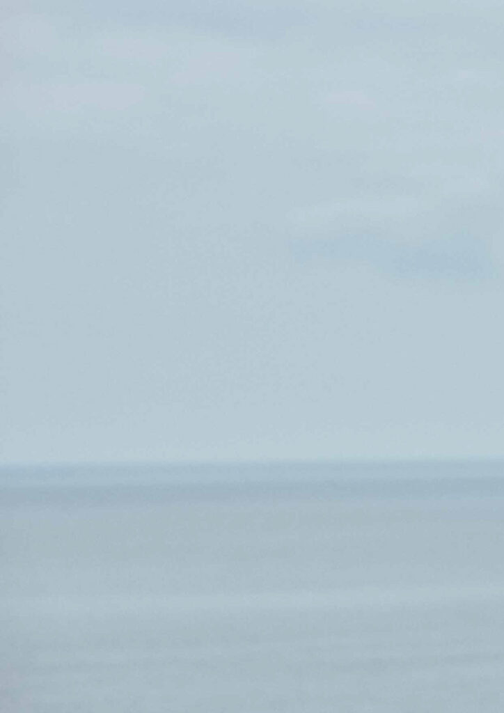 Needles Spring Summer 2026