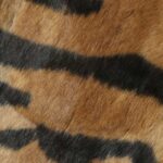 〈NEEDLES〉存在感のあるアニマル柄が目を惹く「RABBIT FUR」シリーズが登場
