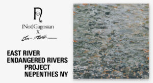 “EAST RIVER ENDANGERED RIVERS PROJECT”