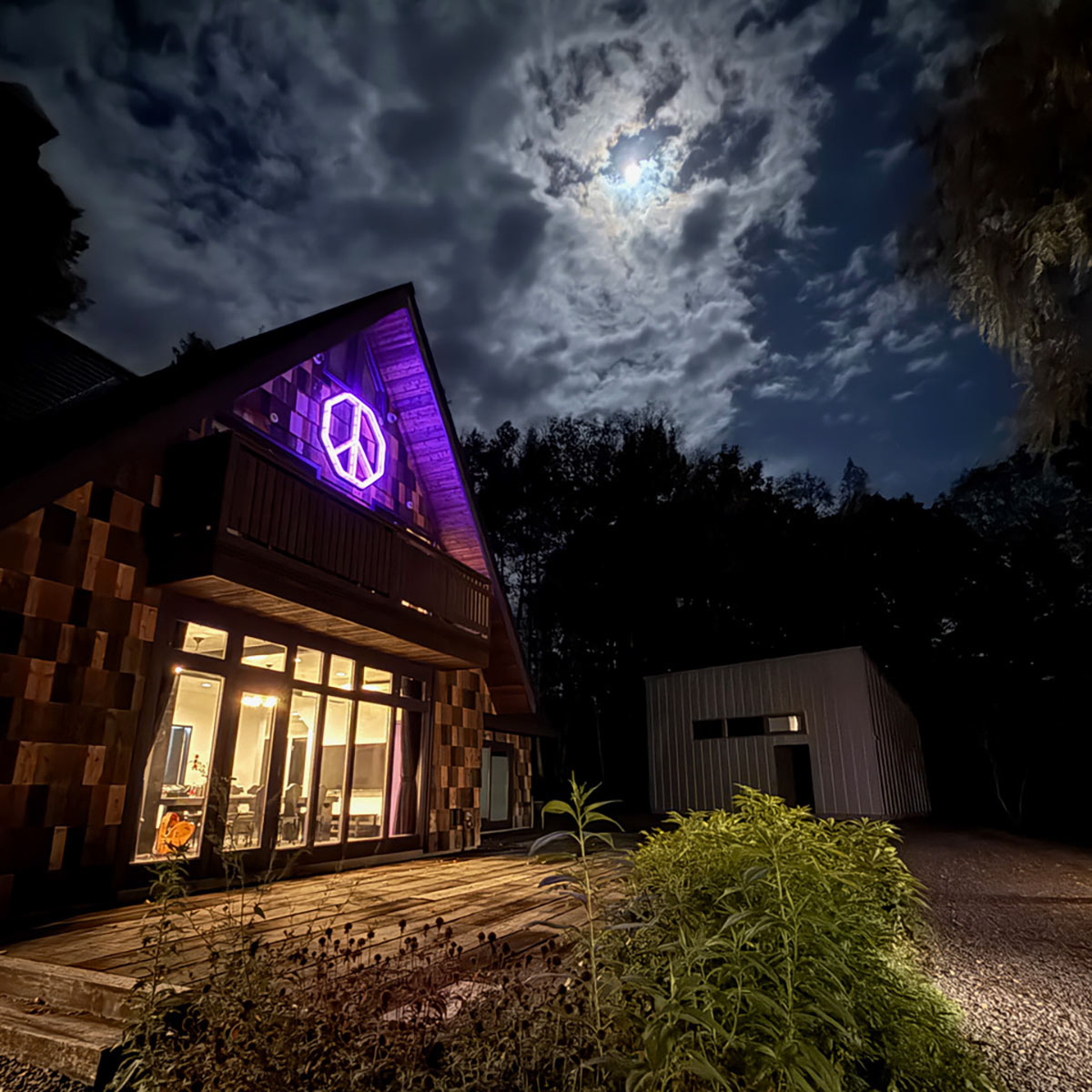 NEPENTHES in print 複数号セット売り アーカイブ NEPENTHES in print 複数号セット売り アーカイブ 雑誌