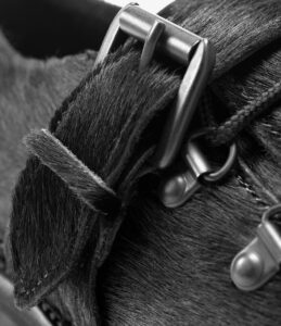 ADIRONDACK LOW HIKER - BLACK PONY HAIR ¥88,000