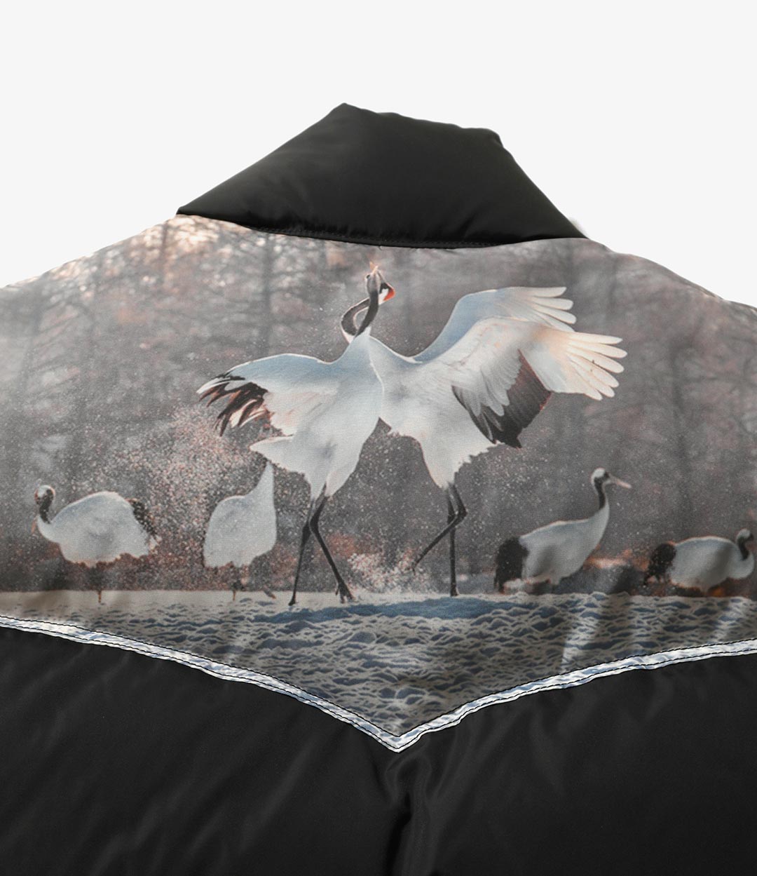 NEPENTHES in print 複数号セット売り アーカイブ NEPENTHES in print 複数号セット売り アーカイブ NEPENTHES in